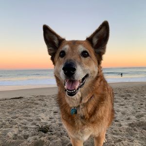 Meet your Posher, Natalie